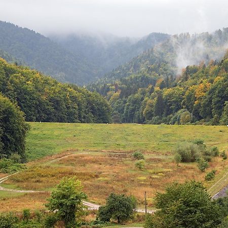 Tampa Gardens - Mountain View Apartment Brasov Bagian luar foto