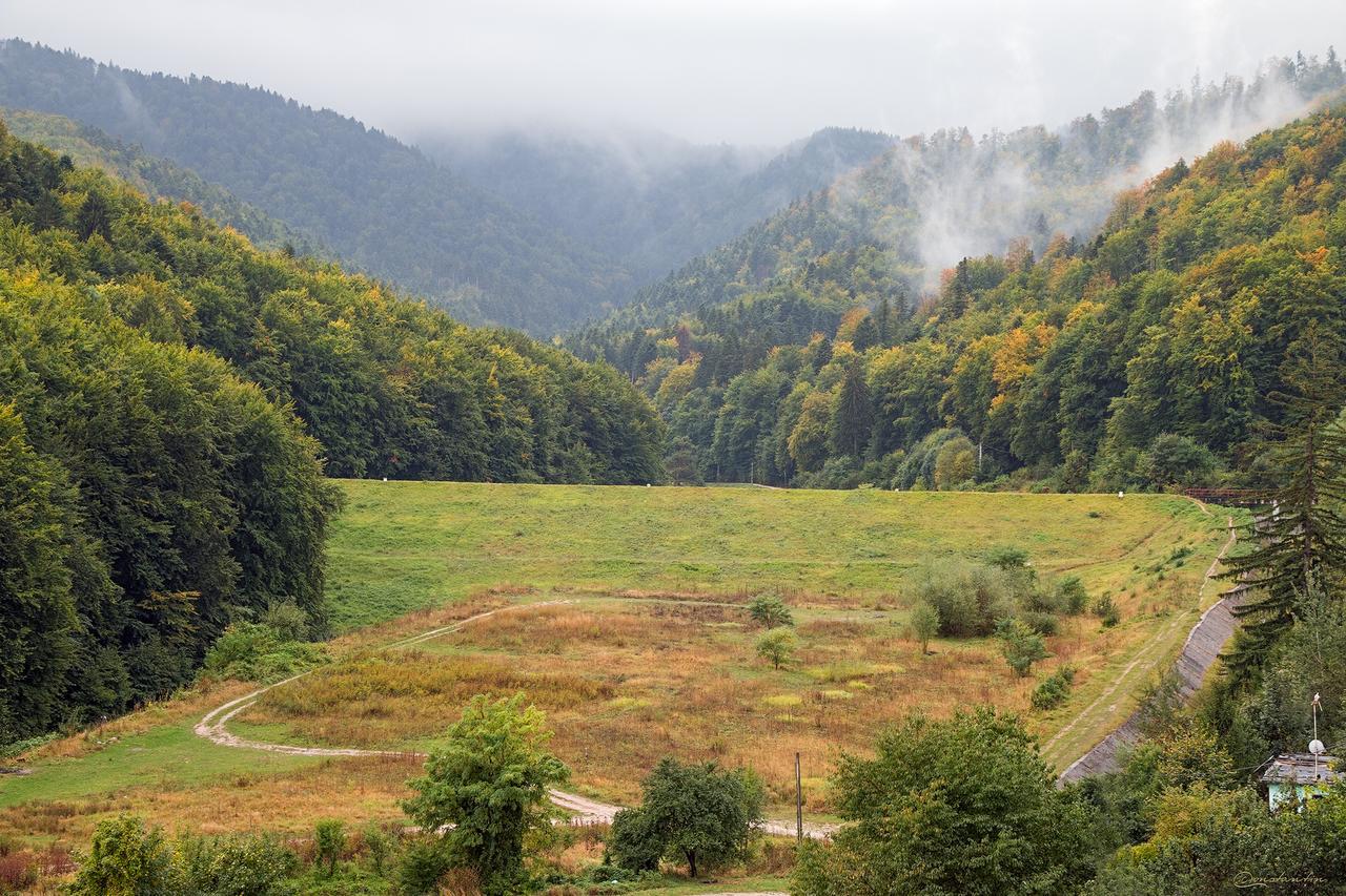 Tampa Gardens - Mountain View Apartment Brasov Bagian luar foto